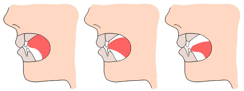 舌の位置の種類
